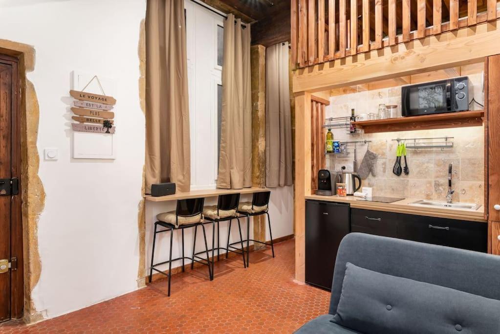 Le Cocon De Saint-Jean Apartment Lyon Exterior photo