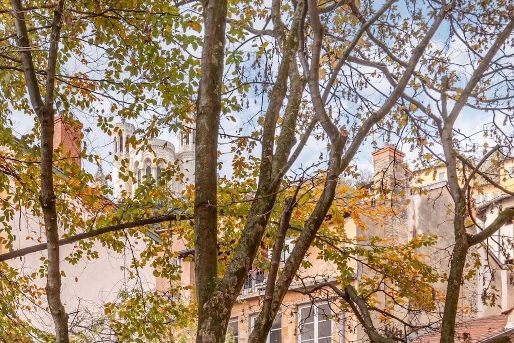 Le Cocon De Saint-Jean Apartment Lyon Exterior photo
