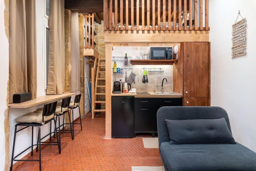 Le Cocon De Saint-Jean Apartment Lyon Exterior photo