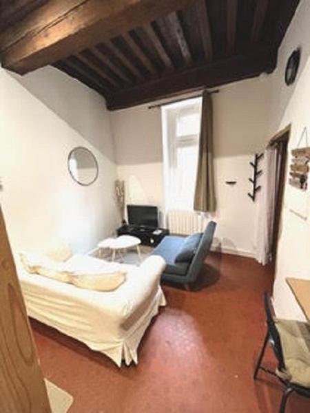 Le Cocon De Saint-Jean Apartment Lyon Exterior photo